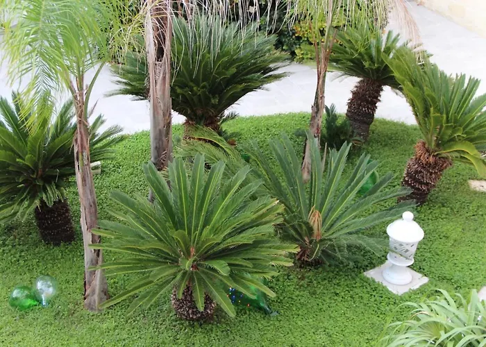 Il Giardino Della Scuncerta