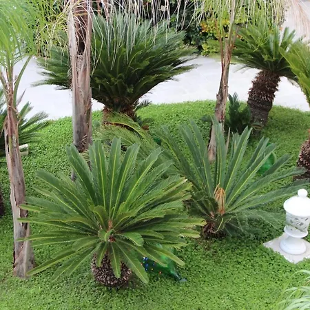 Il Giardino Della Scuncerta