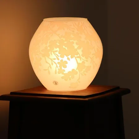 Bed & Breakfast Il Giardino Della Scuncerta 4*