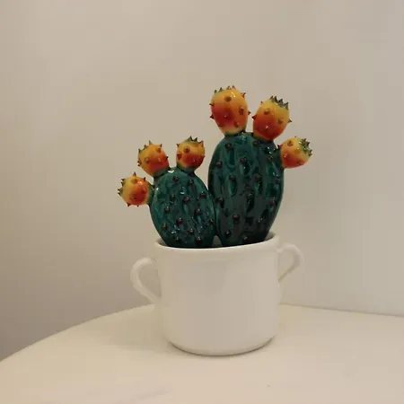 Il Giardino Della Scuncerta